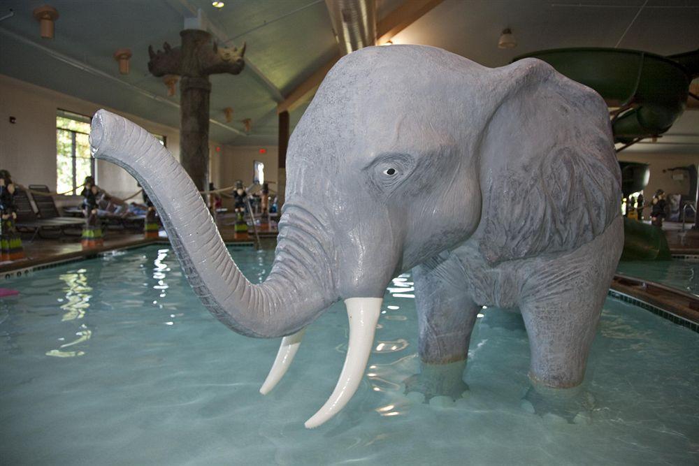 Holiday Inn Hotel & Suites オワトナ 設備 写真